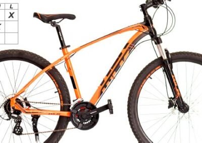 Telic mountain online bike